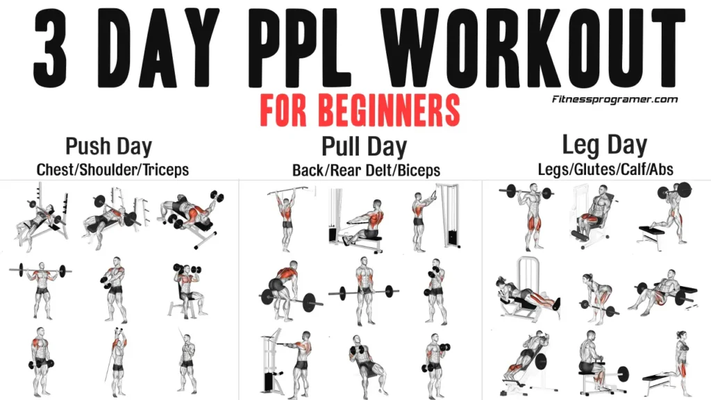 3 day ppl workout routine